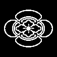 かげ木瓜