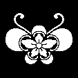 五つ木瓜胡蝶