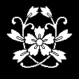 抱き蔓唐花