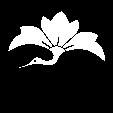 鬼花菱鶴