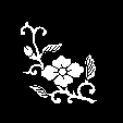 枝花菱