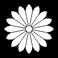 十六葉鬼菊