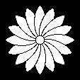 ねじり鬼菊