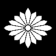 鬼菊菱
