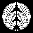 抱き割菊の葉