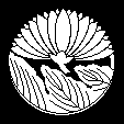 葉敷き菊