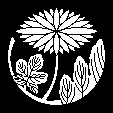 二葉鬼菊の丸