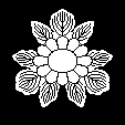 三つ葉菊