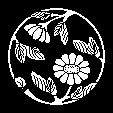高麗菊枝丸