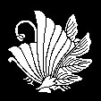 菊蝶