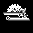 葉敷き菊水