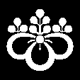 中かげ光琳桐