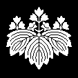 五三の鬼桐