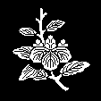枝桐