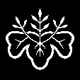 小判桐