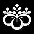中かげ光琳桐